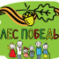В рамках международного эколого-патриотического проекта движения «Зеленая Россия» формируется мемориальный реестр «Лес Победы» - Город Губаха