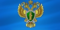 Владельцев собак оштрафуют за неправильный выгул. Что нужно знать - Город Губаха