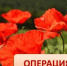 Первый этап региональной межведомственной комплексной оперативно - профилактической операции «Мак – 2025» - Город Губаха